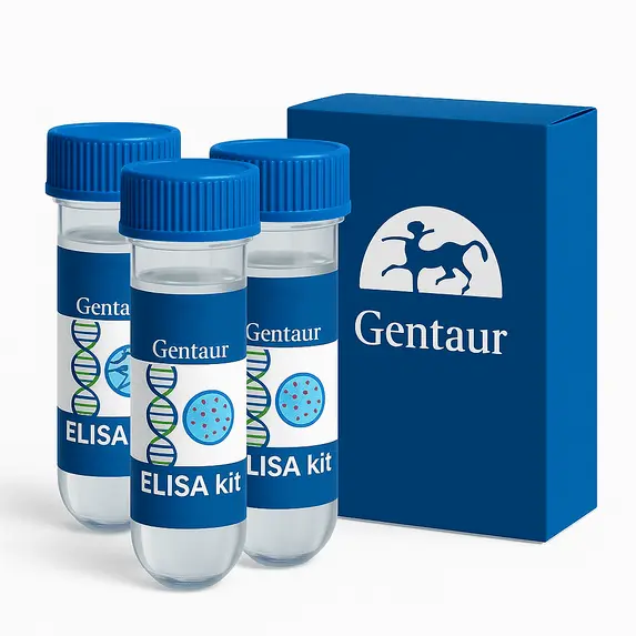 VEGF-C (Human) ELISA - 96 Determinations