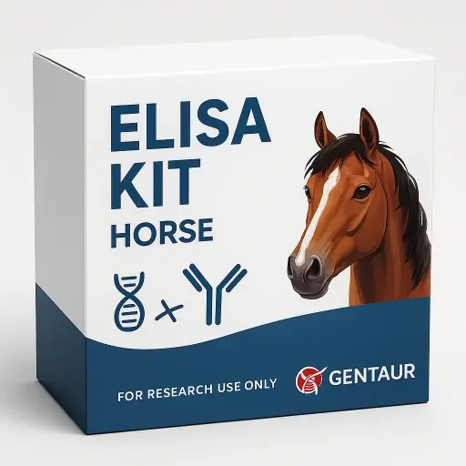 Horse 8-OHdG ELISA Kit