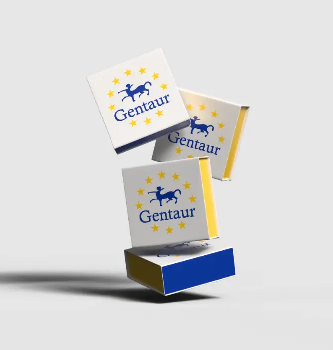 [GF101B1-sf] SARS-CoV-2 Antigen Rapid Test Kit