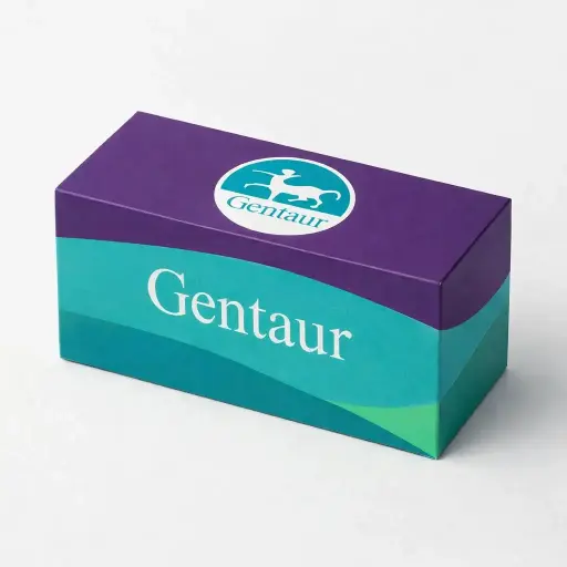 [LV1019] PLenti-CMV-MCS-LgBiT-EF1-PURO Lentiviral Vector