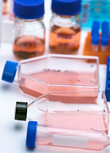 [GEN - CSI006Ra01-500k] Primary AEC Cell, Rat