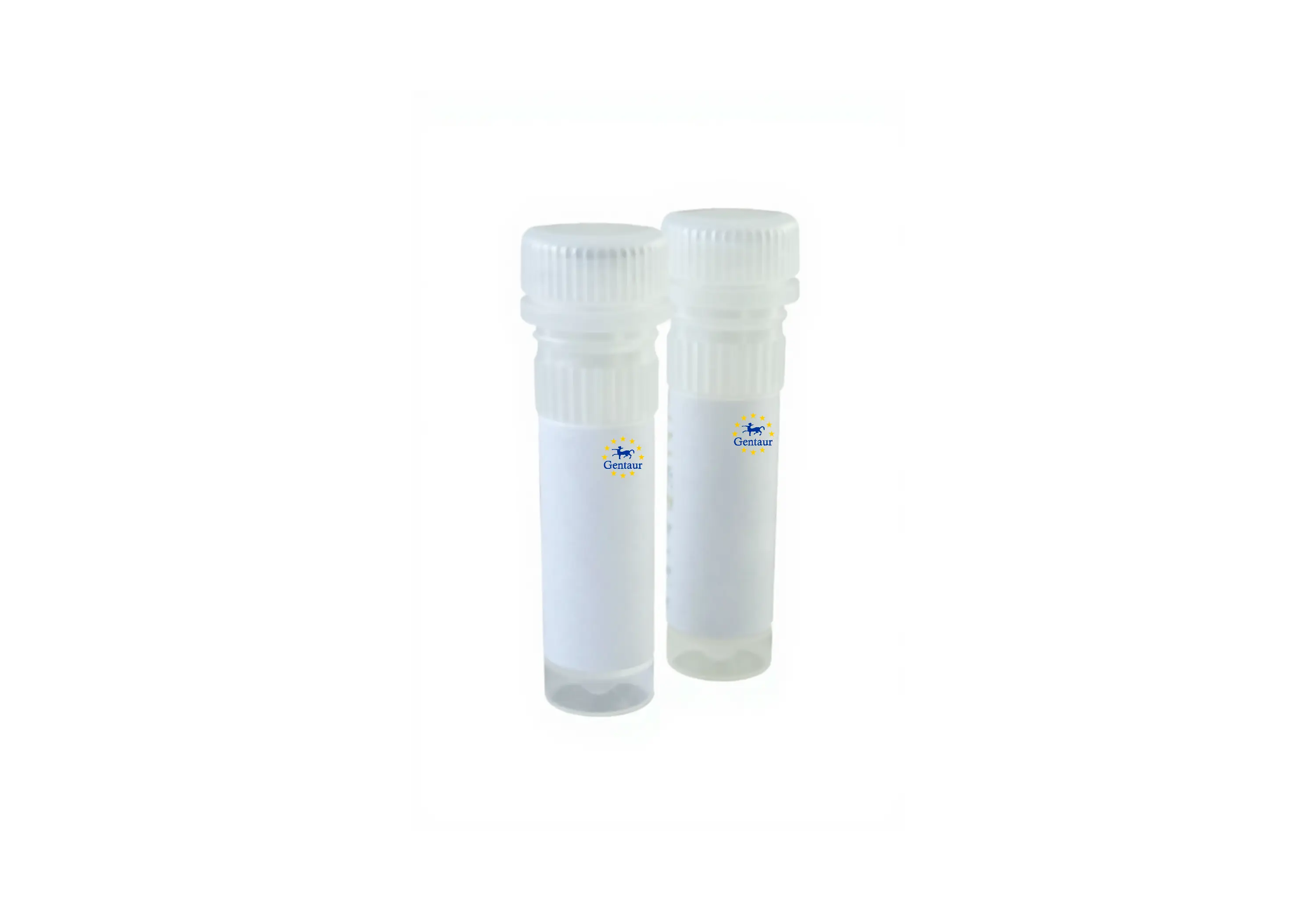 [GEN-ACC-PR1001-TP-200]  taq plus hot start dna polymerase 2x master mix 200 x 50ul