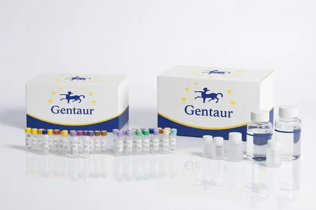 [068-A-02-sf] Anti-CD54 IgG2b-k monoclonal antibody