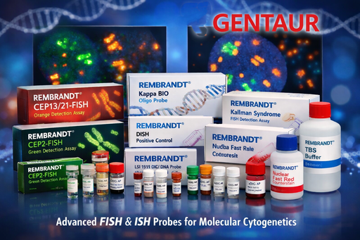 [C709K.2000.05] REMBRANDT® CEP9-FISH green detection assay